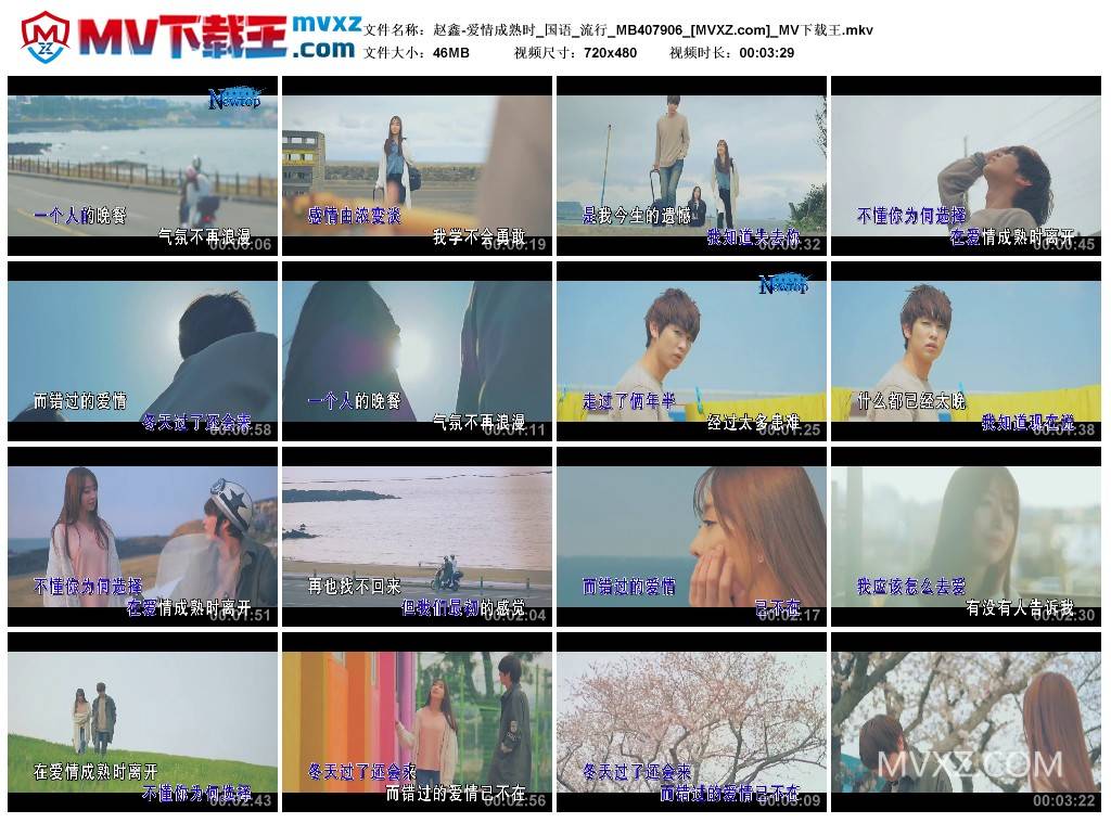 赵鑫-爱情成熟时_国语_流行_MB407906